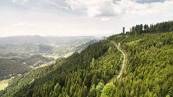 Euch bietet sich ein sagenhaftes Natur Panorama mit dem Buchkopfturm. Das macht jede anstengende Wandertour im Schwarzwald wieder wett.