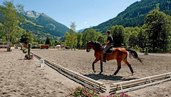 Schöne Freizeitaktivität, Longieren auf dem Pferdehof am Familienhotel Sonngastein in Bad Gastein.
