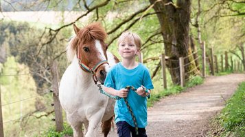 Ein Kind führt ein Pony an einer Leine durch einen Wald.
