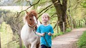 Ein Kind führt ein Pony an einer Leine durch einen Wald.
