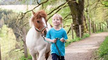 Ein Kind führt ein Pony an einer Leine durch einen Wald.