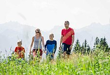 Eine Familie mit zwei Kindern genießt eine Wanderung in der idyllischen Allgäuer Berglandschaft, umgeben von grünen Wiesen und Berggipfeln im Hintergrund, symbolisch für Urlaub im Familienhotel Allgäuer Berghof.
