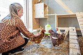 Mädchen streichelt ein Huhn im Familienhotel Almfamilyhotel Scherer in Tirol.
