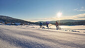 Langläufer fahren im Sonnenschein in der Nähe von Sankt Englmar über den Schnee.