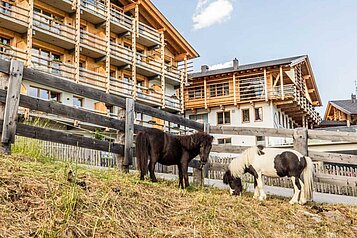 Sommeransicht vom Hotel mit Ponys im Freilauf im Familienhotel Almfamilyhotel Scherer in Tirol.
