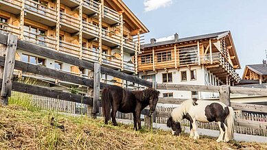 Sommeransicht vom Hotel mit Ponys im Freilauf im Familienhotel Almfamilyhotel Scherer in Tirol.