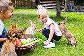 Zwei Kinder sitzen mit einem Gemüsekorb im Hasengehege und füttern die Tiere im Familienhotel Alphotel Tyrol Wellness & Family Resort in Südtirol.