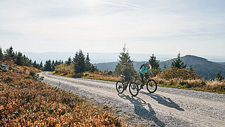 Zwei Fahrradfahrer fahren durch die Landschaft im Bayerischen Wald.