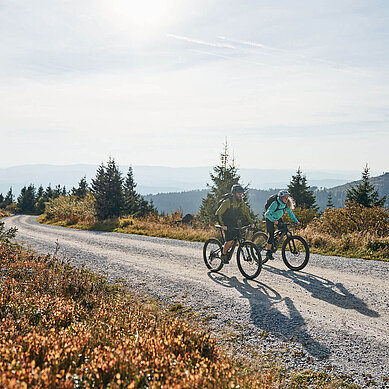 Zwei Fahrradfahrer fahren durch die Landschaft im Bayerischen Wald.