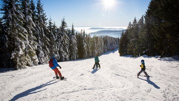 Familiengruppe beim Skifahren auf einer sonnigen, breiten Piste zwischen verschneiten Tannen, mit weitem Blick über ein wolkenverhangenes Tal und sanfte Bergsilhouetten am Horizont.