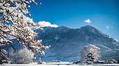 Malerische Landschaft im Winter im Allgäu. Der Tag ist sonnig und der Himmel blau. Im Hintergrund ist ein großer Berg.