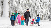 Große Familie beim Schlittenfahren im Schwarzwald.