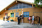 Kinder pflegen und streicheln beim Pferdewellness die Pferde des Familienhotels Der Böhmerwald.