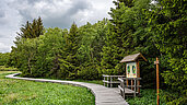 Ausflugstipps in der Rhön: Natur erleben im Schwarzen Moor auf einem Erlebniswanderweg. Wichtige Fakten zu der Region findet ihr auf verschiedenen Infotafeln.