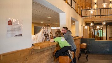 Neue Pferdetenne im Familienhotel Landhaus zur Ohe