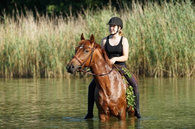 Mädchen reitet mit einem Pferd durch das Wasser im Familienurlaub im Gut Landegge
