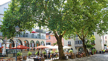 Im Innenhof einer Stadt im Allgäu stehen schöne große Bäume und spenden Schatten bei einem Ausflug mit der Familie.