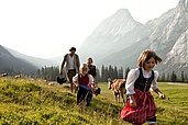 Familie wandert über saftgrünen Almwiesen im Familienurlaub im Hotel Tirolerhof in Tirol.