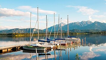 Das Seeufer des Hopfensees im Allgäu.