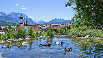 Enten schwimmen auf einem Teich im Hintergrund typisch bayerischer Kirchturm