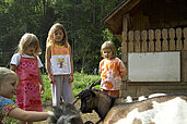 Kinder streicheln Ziegen im Ziegengehege und füttern die Tiere im Familienhotel Kinderhotel Bruckwirt in Oberösterreich.