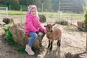 Ein kleines Mädchen streichelt eine Ziege auf dem Gelände vom Familienhotel Friedrichshof.