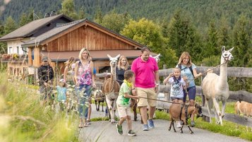 Familien bei einer tierischen Wanderung mit Ziegen und Lamas rund um das Familienhotel Ramsi in Kärnten