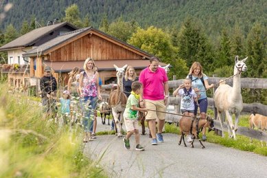 Familien bei einer tierischen Wanderung mit Ziegen und Lamas rund um das Familienhotel Ramsi in Kärnten