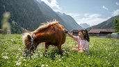 Mädchen sitzt im Gras und bürstet liebevoll ein Pony im Familienhotel Kindl.