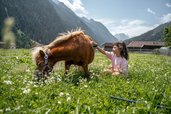 Mädchen sitzt im Gras und bürstet liebevoll ein Pony im Familienhotel Kindl.