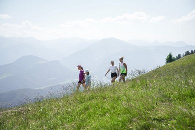 Familie wandert über eine grüne Bergwiese mit weitem Blick auf die Alpen beim Familienhotel Sonne Bezau.