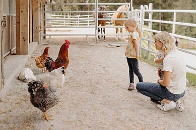 Die Kinder besuchen die Hühner mit ihrer Mutter.