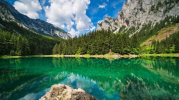 Ein See mitten im Wald in der sommerlichen Steiermark.