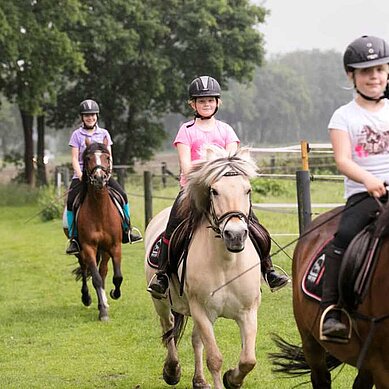 Kinder beim Ausritt mit Pferden im Urlaub im Landhuus Laurenz.