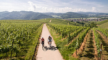 Sportlich aktiv: macht einen Ausflug auf dem Fahrrad im Schwarzwald. Der Rebberg in Buchholz führt euch durch viele Weinanbaugebiete.